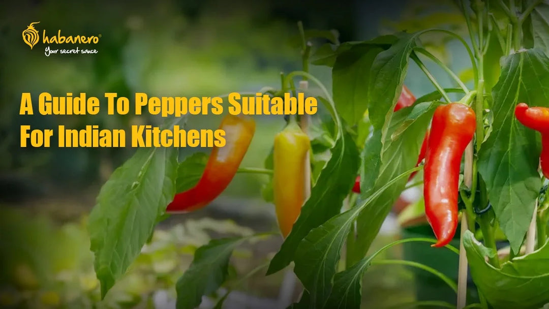 Types of Peppers: A Complete List of Different Pepper Varieties